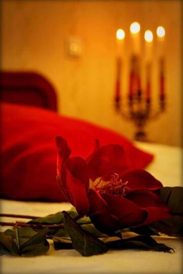 Фото Отель Hotel Zaodrze г. Ополе 3